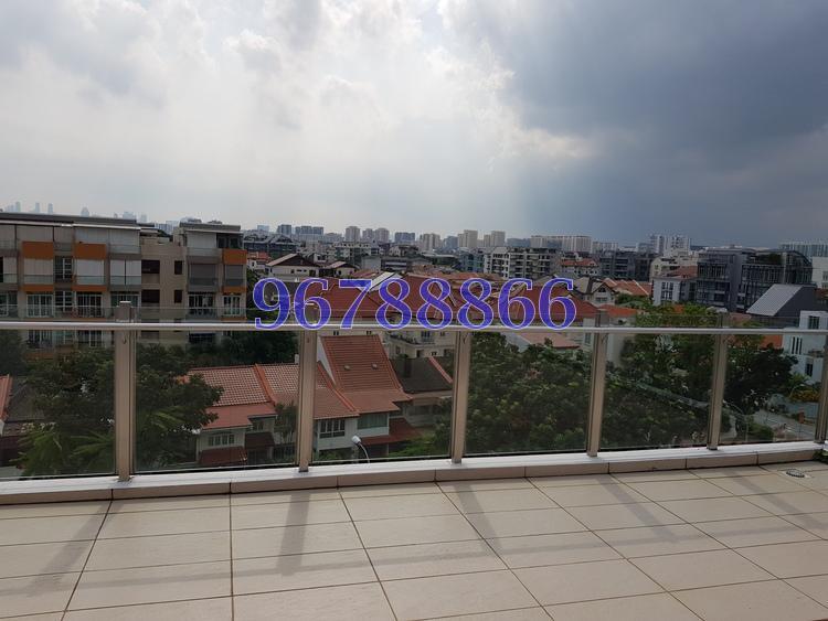 The Cotz (D15), Apartment #168229482